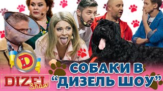 🐶 Собаки 😍 В «Дизель Шоу» 🤪🤣