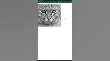 How to add smooth image hover effect               #shorts