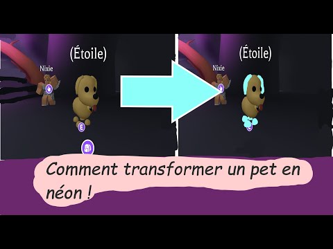 🌈 Tuto comment faire un néon sur adopt me ! 🌟 + Je trade mon chien néon 😉✨
