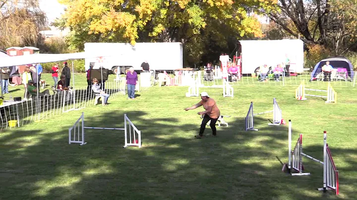 Lesson Learned in T2B Dog Agility, Tina Carlson, F...