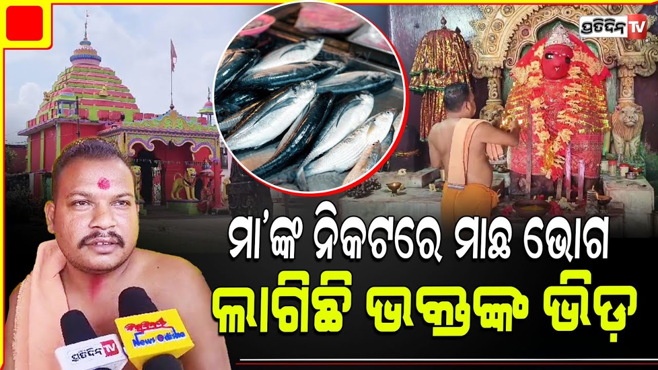 ମା ଖାଉଛନ୍ତି ମାଛ ଭୋଗ, ବଲାଙ୍ଗିର ଶକ୍ତିପୀଠ ସାଉନ୍ତେଶ୍ୱରୀ | fish offered Maa Saunteswari Sauntpur Balangir