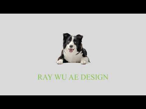 片頭動畫設計 LOGO設計 AE特效設計 YT接案範例