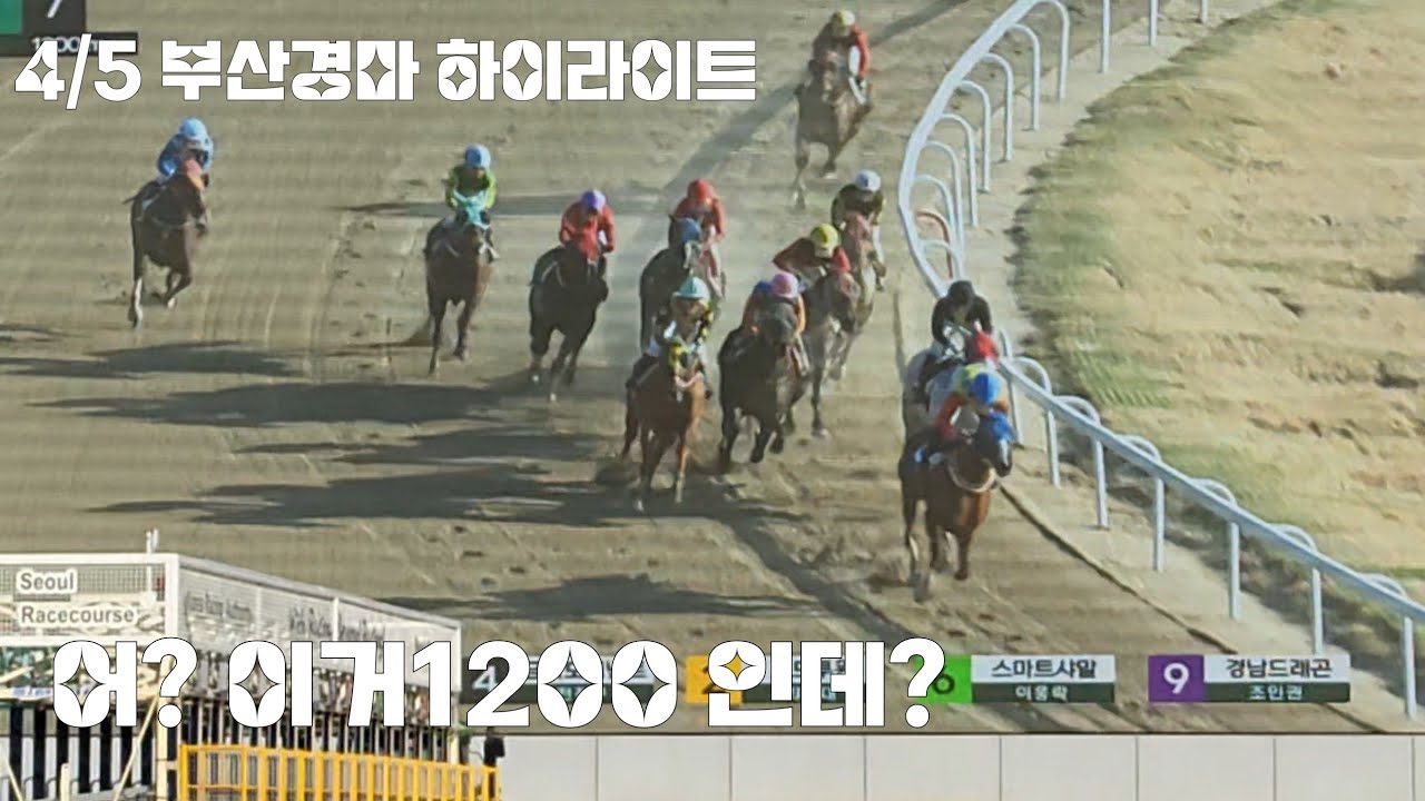 혼자1300 뛰는거 아녀?(오아시스위키/손경민)#부산경마