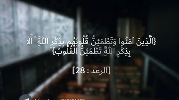 سورة الرعد القارئ عبدالرحمن مسعد