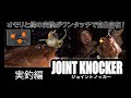 根魚爆釣⁉【ジョイントノッカー】実釣編