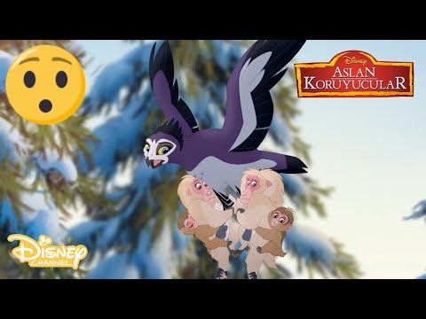 Kar Maymunları Kurtuluyor❄🤗 | Aslan Koruyucular | Disney Channel Türkiye