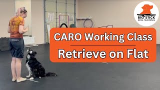 CARO Working - Retrieve on Flat