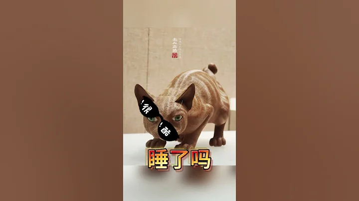 終於有00後來上班了，廣東省博物館《文物版寶貝在幹嘛》上線 - 天天要聞