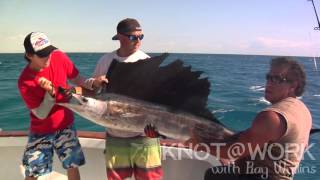 Knot @ Work - Ray Catches Sailfish in the Florida Keys