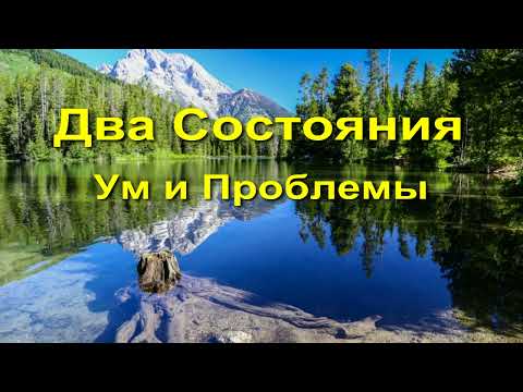 Бейне: Үлкен проблемалар мен кішкентай қуаныштар