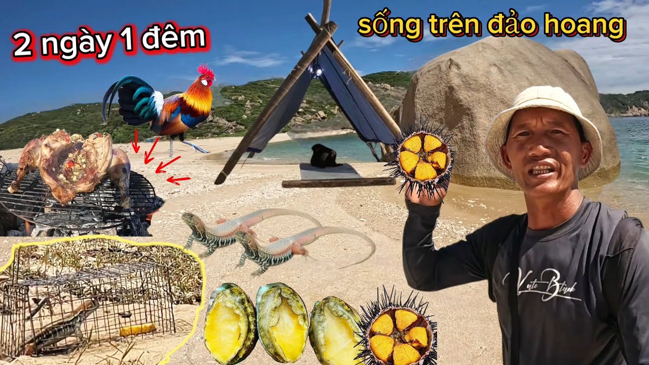 2 ngày 1 đêm sống trên đảo hoang đặt bẫy dông cát săn gà rừng | 2 days survival camping