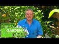 How to Bring Your Garden Back to Life After a Long, Hot Summer | GARDEN | Great Home Ideas