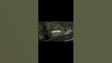 ومن اظلم ممن افترى على الله كذبا او كذب بآياته ||| القارئ محمد أيوب #محمد_ايوب #قران_كريم