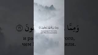 Сура: 32Аяты: 15-17🌿