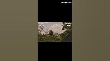 محمد أيوب - سورة الأنعام 🌹❤️