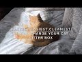 Fastest, Easiest, Cleanest Way to Change Your Cat Litter Box