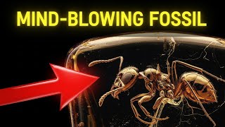 This 113-Million-Year-Old Ant Fossil Will Blow Your Mind 🦖🐜 (Documentary) News