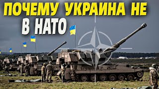 Почему Украина уже 30 лет никак не может вступить в НАТО и вступит ли?