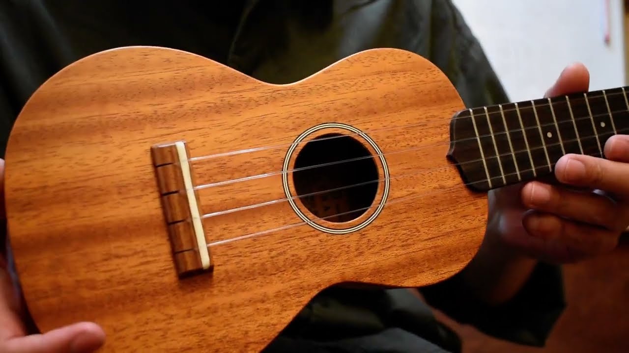 USED/LUNA LS-4G@guitarshoptantan