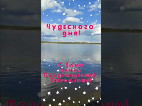 Доброго чудесного дня! Музыкальная открытка с пожеланиями! #Shorts