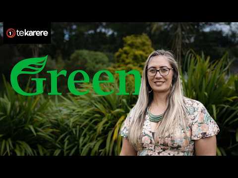 Ngā take tōrangapū me Hūhana Lyndon