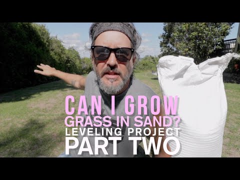 CAN I GROW GRASS IN SAND? Not Being Afraid To Fail.