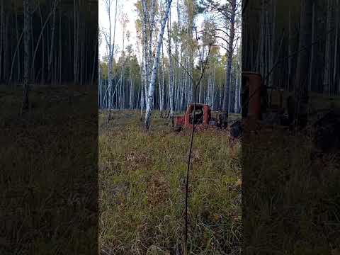 Тт-4 в деле
