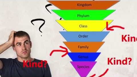 Aron Ra & The Phylogeny Challenge Debunked PART 3 | The Knockout Punch