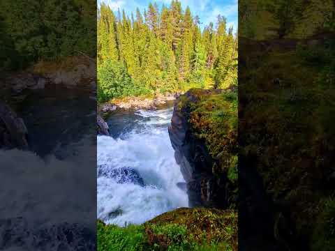 Видео: Красота водопадов горных рек. #рыбалка #река #природа #outdoor #adventuresbrothers #nature