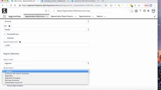 Segmentive Quick Demo 1 Guide
