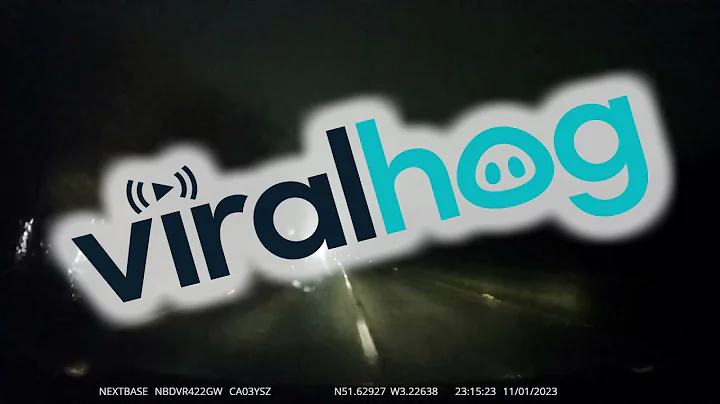 Driver Collides With Fallen Tree on Unlit Road || ViralHog