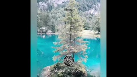 اخفض صوت العالم وارفع صوت القرآن الكريم 😍😍