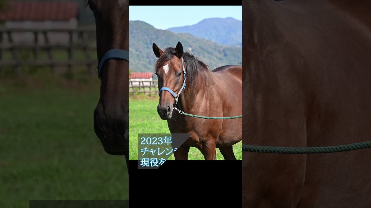 風のたより】府中牝馬S勝ち馬イズジョーノキセキ - YouTube 風のたより】府中牝馬S勝ち馬イズジョーノキセキ - YouTube
