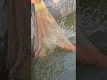 आज फार्मवर काहीच घडलं नाही… म्हणूनच सगळं बरोबर होतं! 🐟🔥 #dailyvlog #dailyupdates #aquaculture #fish