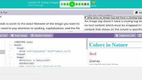 Computer Science Discoveries   U2L9   #3