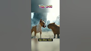 248 - THỦY GIỚI BẤT ỔN : CAPY TIẾT LỘ BÍ MẬT BẤT NGỜ VỀ NGỌC LONG TINH !!! #capybara #ohchumchum