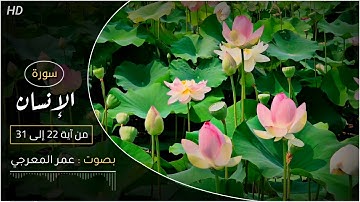 سورة الإنسان من آية 22 إلى 31 || بصوت عمر المعرجي || حالات واتس اب دينية 2022 | مقاطع انستقرام