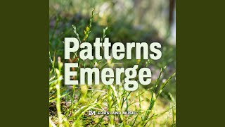 Patterns Emerge