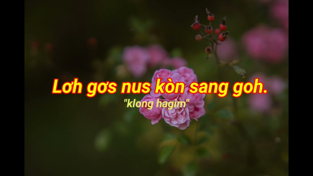 Lơh gơs tơm kon hwing nus | klong hagim
