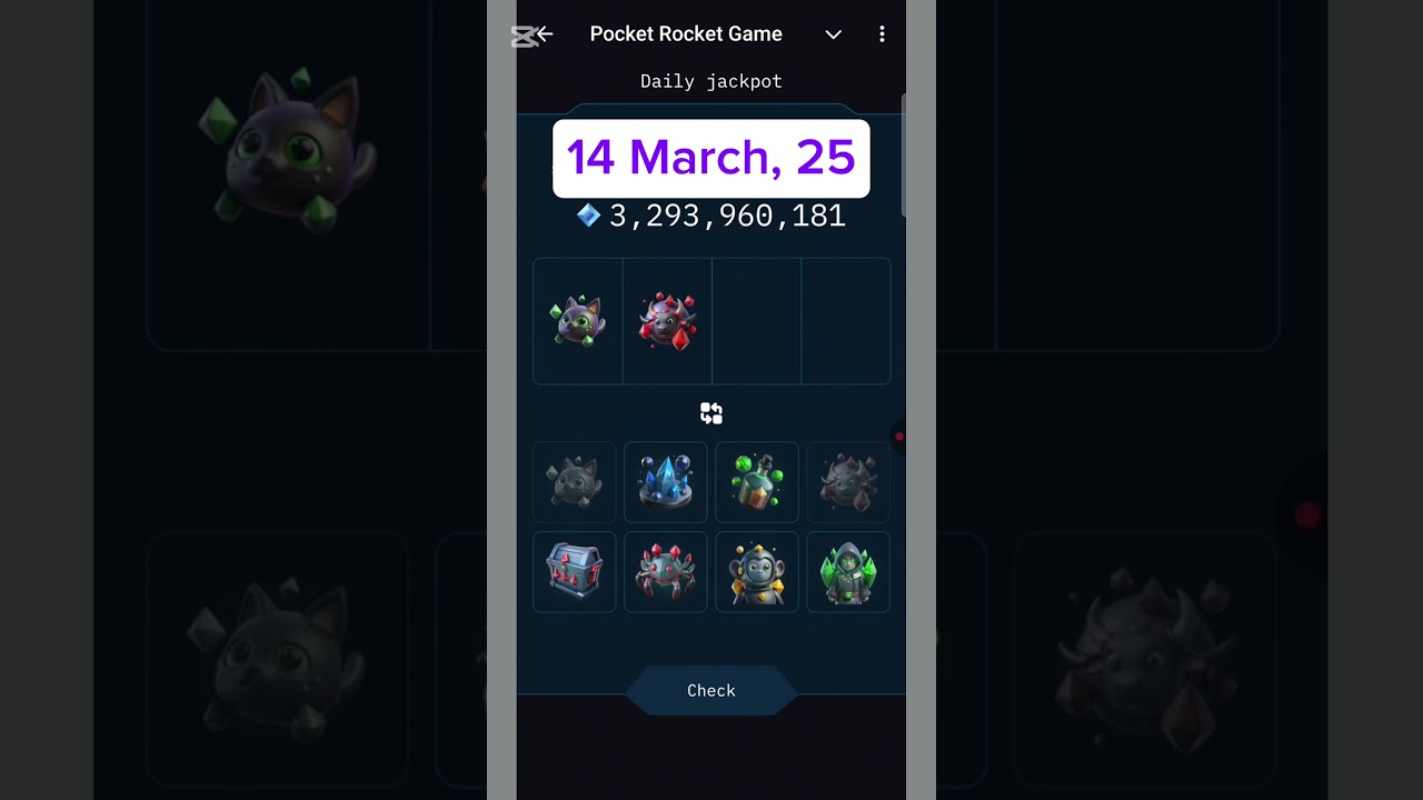 Pocket Rocket Daily Combo | 14 March | Pocket Rocket Combo Cards video |