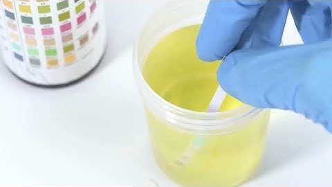 Audit‑Ready Screening Solutions