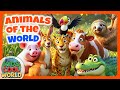 Animal Song | Animal Sounds from Around the World 🌎🐮🌴🦘❄️