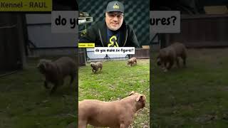 Curious About How Much Money Breeders Make? Find Out Now!