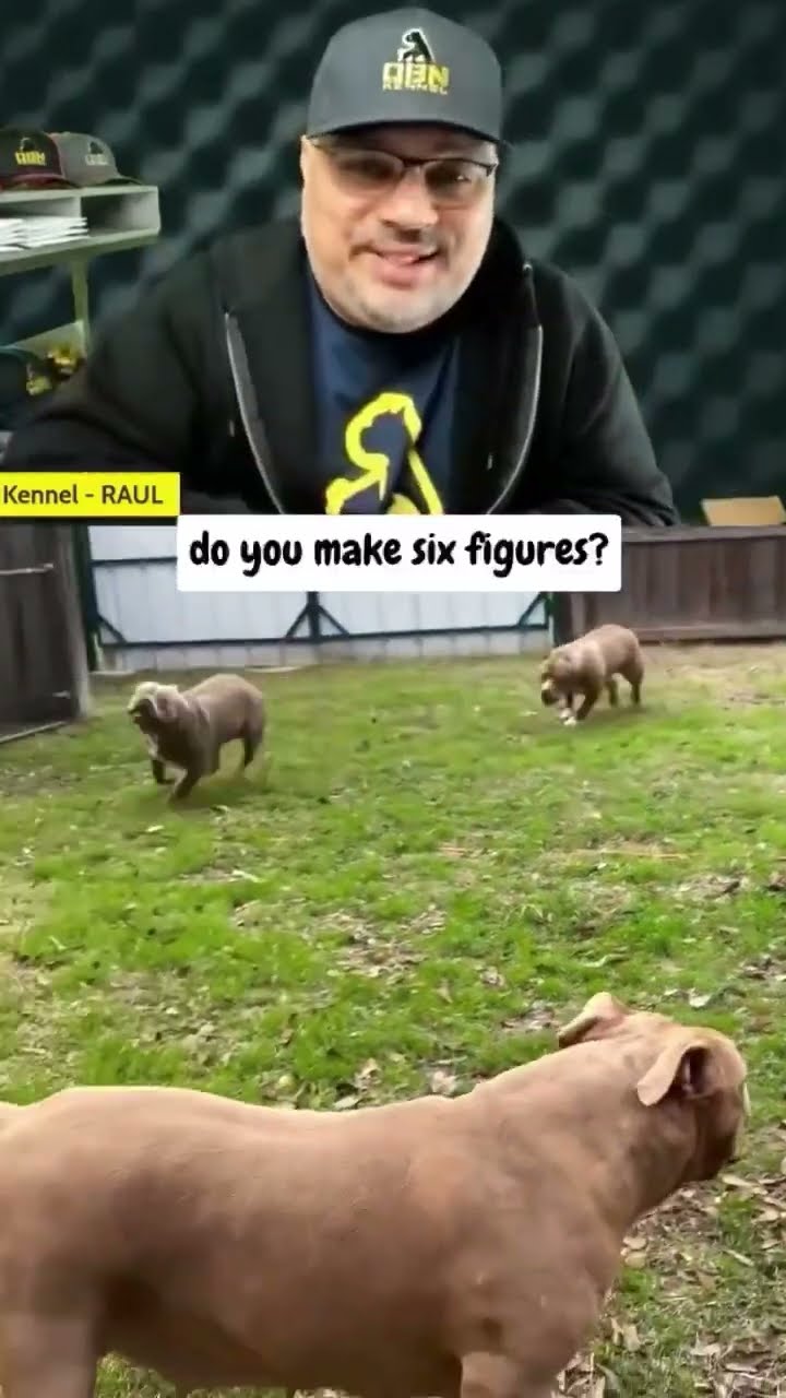 Curious About How Much Money Breeders Make Find Out Now YouTube Curious About How Much Money Breeders Make Find Out Now YouTube