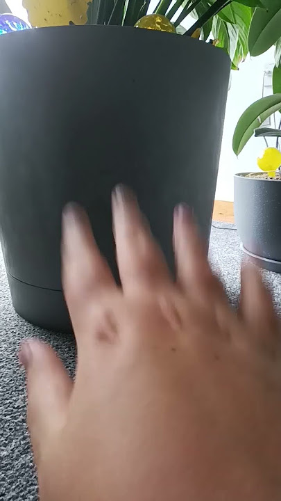 djdieiekeksks