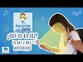 ¿Qué es la luz? La luz y los materiales | Aprende con Dani