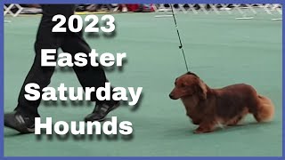 2023 Easter Saturday AM Show  Hounds