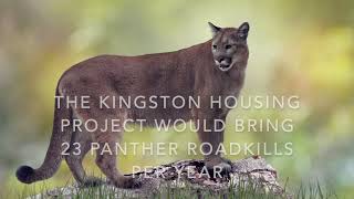 Florida Panther Kingston Project 2024 would create 23 panther roadkills per year!!!!!