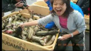 Iceland Seeds11 Workcamp In Dalvik