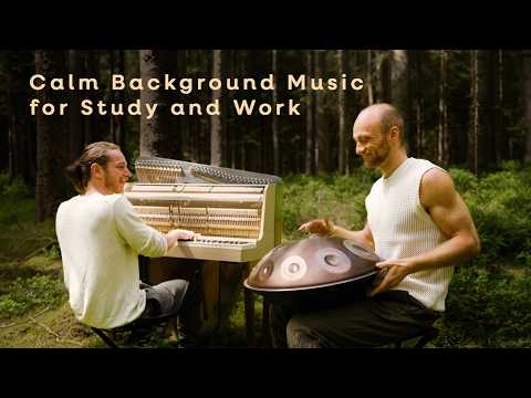 Calm Background Music for Study & Work | 2 hours Handpan Ambient | Malte Marten & Friends